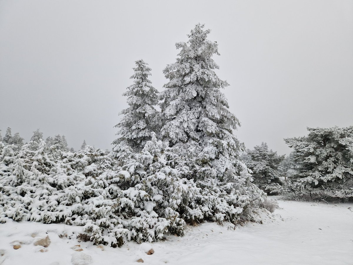 Meteovaroise's tweet photo. 10/01 17h ❄️ Vous êtes toujours dans le Var. Mais sur le toit du département, la montagne de Lachens à un peu plus de 1700m d'altitude. Là-haut, -3°C, fort vent d'Est, givrage important et 15cm de neige au sol.
Photos Météo-Varoise. https://t.co/PCpPc1lm0u