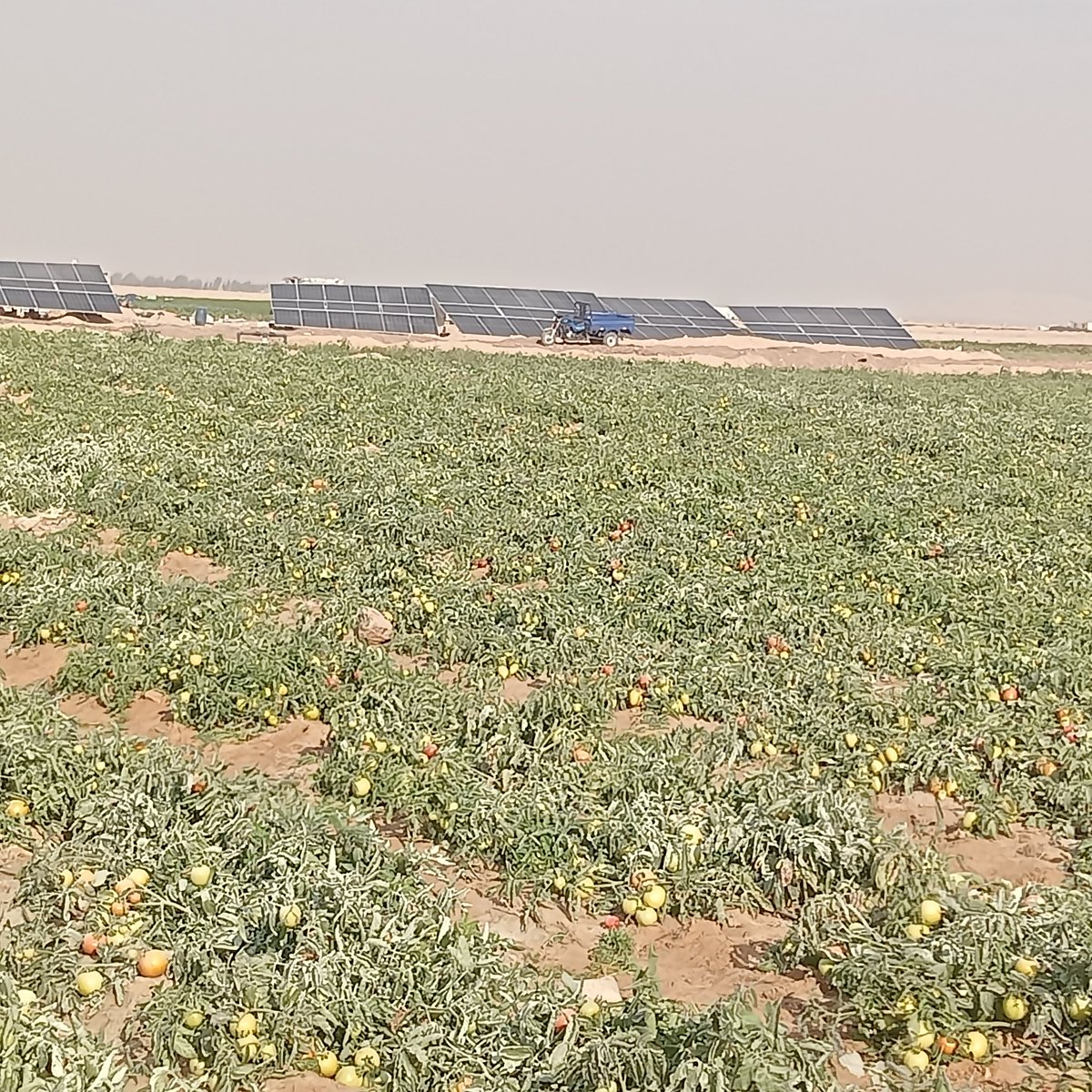 nn880's tweet photo. يارب ارزقنا الرزق الحلال الطيب المبارك https://t.co/LyMVRSmhfu