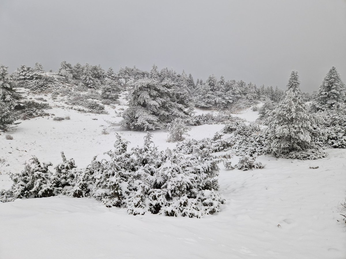 10/01 17h ❄️ Vous êtes toujours dans le Var. Mais sur le toit du département, la montagne de Lachens à un peu plus de 1700m d'altitude. Là-haut, -3°C, fort vent d'Est, givrage important et 15cm de neige au sol.
Photos Météo-Varoise.