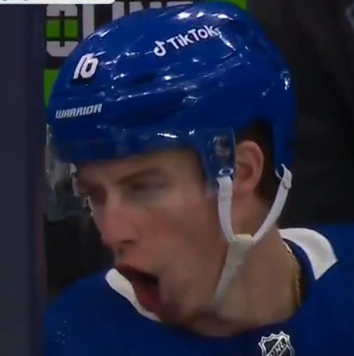 LeafsOfMaple's tweet photo. #NHLAllStarVote     John Tavares
#NHLAllStarVote     Morgan Rielly
#NHLAllStarVote     Mitch Marner
#NHLAllStarVote     William Nylander https://t.co/i4OSarvNfs