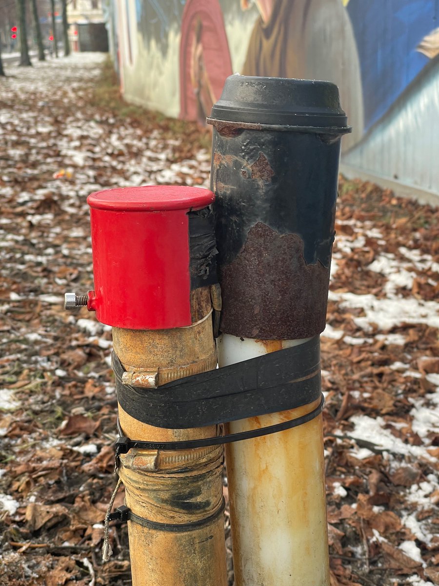 Beardybird tweet media