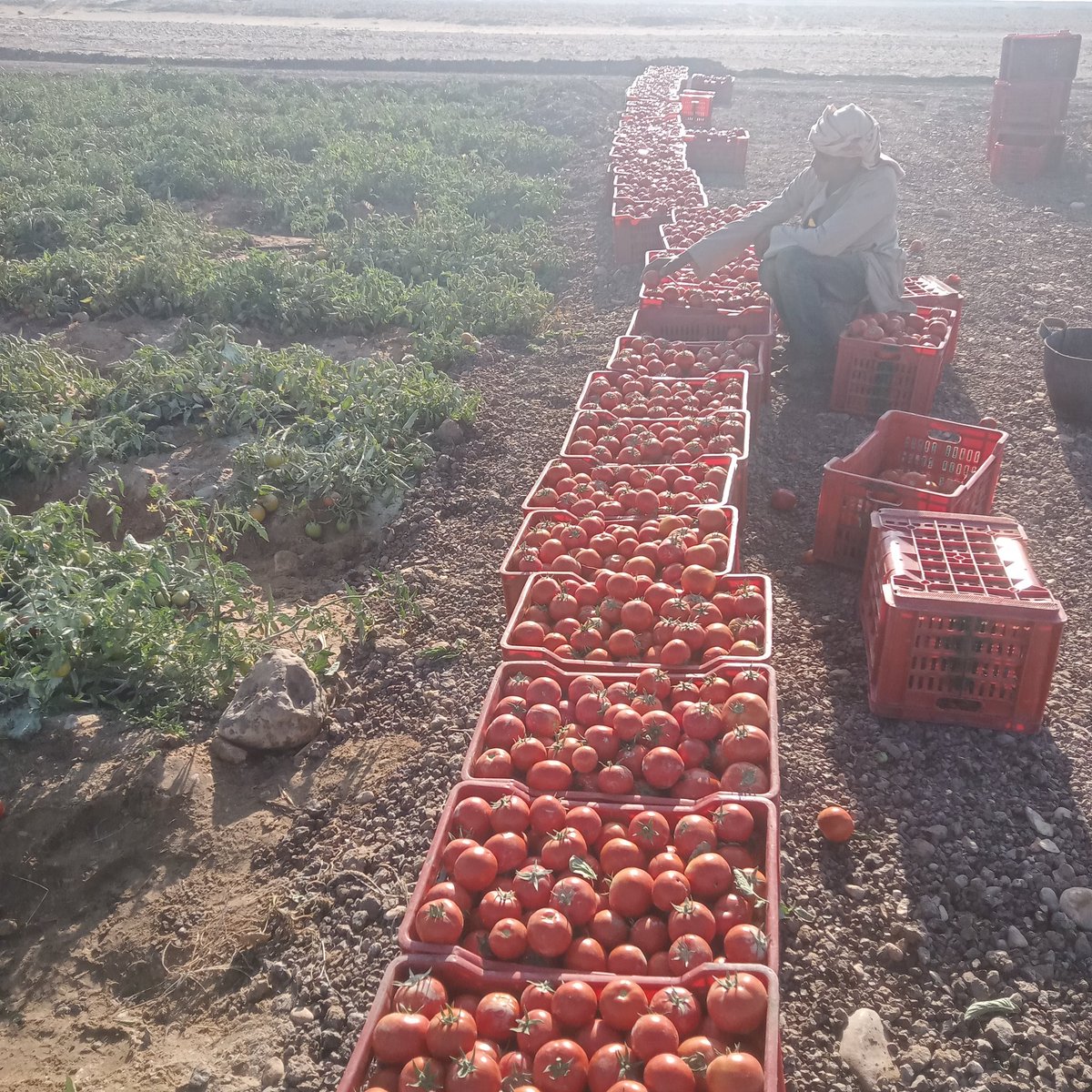 nn880's tweet photo. يارب ارزقنا الرزق الحلال الطيب المبارك https://t.co/LyMVRSmhfu