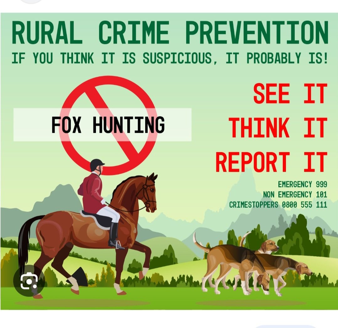 cliveswinsco's tweet photo. @GlosPol_Rural Well worth checking if there's a local #Foxhunt in the area - #Hunts are notorious for illegally blocking #Badger setts. Of course, all #Foxhunts are now just #OrganisedCrimeGangs too.
#LetsREALLYEndHunting https://t.co/1af0iJQjXJ