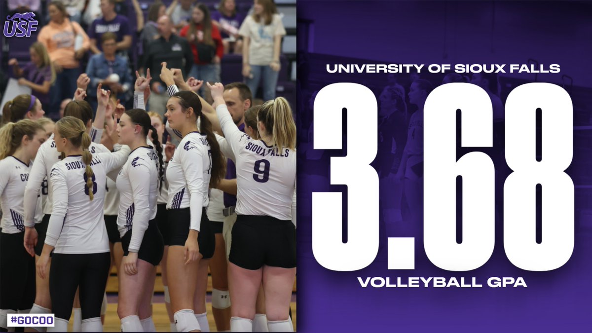 USFCougarsVB's tweet photo. https://t.co/OrVbqrnFVt