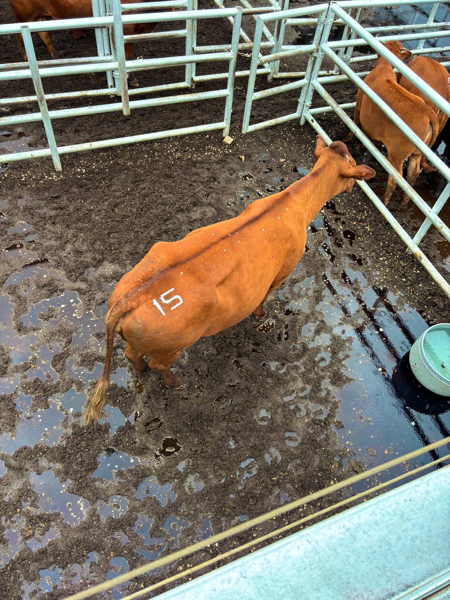 I was born by myself but carry the spirit and blood of my father, mother and my ancestors. So I am really never alone. My identity is through that line.