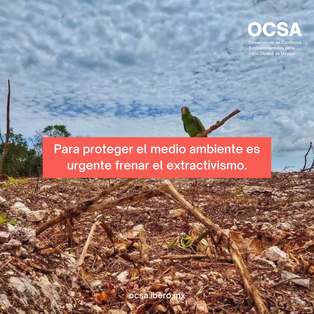 Compartimos la columna de opinión de Dulce María Ramos, Coordinadora de @IberoAmbiente en @El_Universal_Mx donde aborda el extractivismo y comparte cómo desde @IBERO_mx se trabaja para la visibilización de sus impactos a través del trabajo del #OCSA 🔗bit.ly/48MHO3F