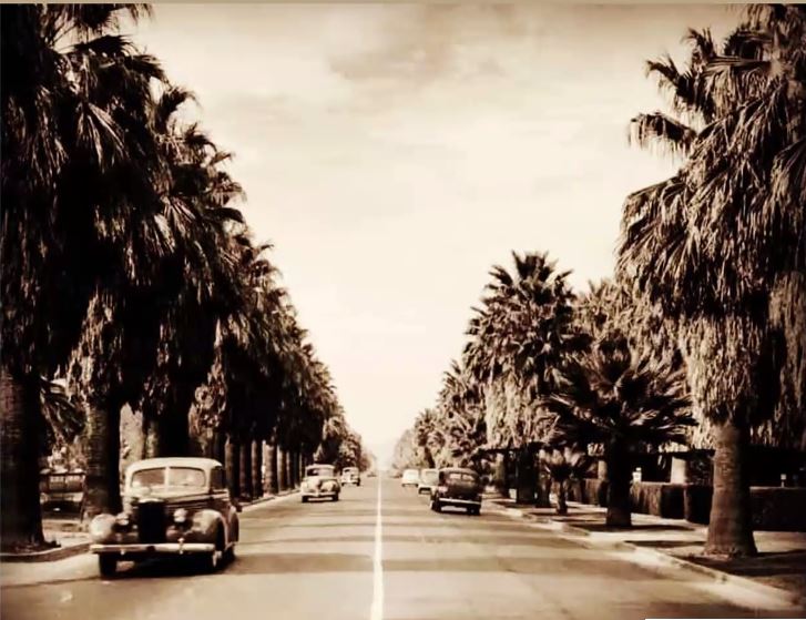 LuxePros's tweet photo. Blast from the Past: Central Avenue Then &amp; Now! 

Swipe left to witness the transformative journey of this iconic thoroughfare, where the echoes of the 1930s past meet the hustle and bustle of the present. https://t.co/U0vgB68CZq