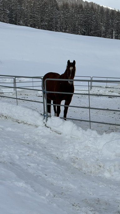 Watch Megan Inky 💜❤️❤️💜❤️💜's leaked NSFW photo on TwXstars