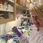 Photo by Functional Embryo Genomics lab (@funcembryomics)