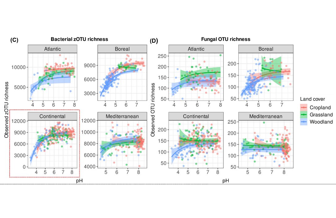agronomistag's tweet photo. Another study on soil microbial diversity. 
Fungal and bacterial diversity linked to 3 factors: climate, pH and land cover. pH is the only one you can manage. 

So,
1. Don't worry about your soil's microbial diversity.
2.  If you want to manage it, don't let your pH get too low. https://t.co/pvcjUU1zq8