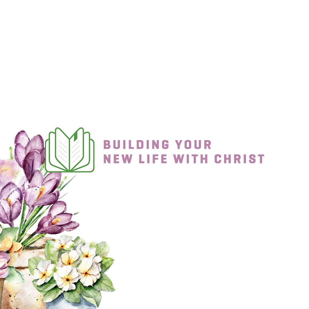 JoyceMeyer's tweet photo. You’ve made the decision to follow Christ and we’re very excited for you. You’ll have questions and that’s normal! We’ll do our best to help you along the way…Start the Building Your New Life With Christ study today at https://t.co/NrSE0amQou https://t.co/RnH5wVCs1E