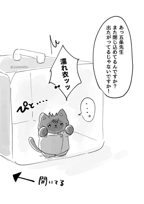 じっ……🐱