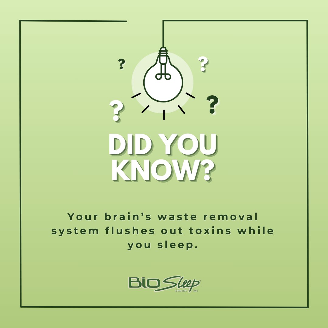 Did you know? Your brain is a superhero while you sleep! It's on a detox mission, clearing out toxins like beta-amyloid—linked to Alzheimer's—to keep your mind sharp. #SleepDetox #BrainHealth #DeepSleepBenefits #DidYouKnow