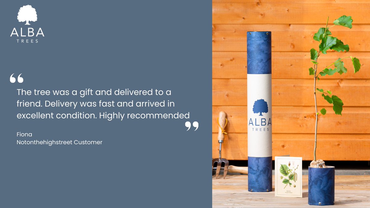 Alba Trees Nursery (@albatrees) on Twitter photo Fiona purchased one of our gift trees via <a href="/notonthehighst/">notonthehighstreet</a>.
Here is what she had to say about her experience
"The tree was a gift and delivered to a friend. Delivery was fast and arrived in excellent condition. Highly recommended".
>> albatrees.co.uk/browse/c-Gifts… Fiona purchased one of our gift trees via <a href="/notonthehighst/">notonthehighstreet</a>.
Here is what she had to say about her experience
"The tree was a gift and delivered to a friend. Delivery was fast and arrived in excellent condition. Highly recommended".
>> albatrees.co.uk/browse/c-Gifts…