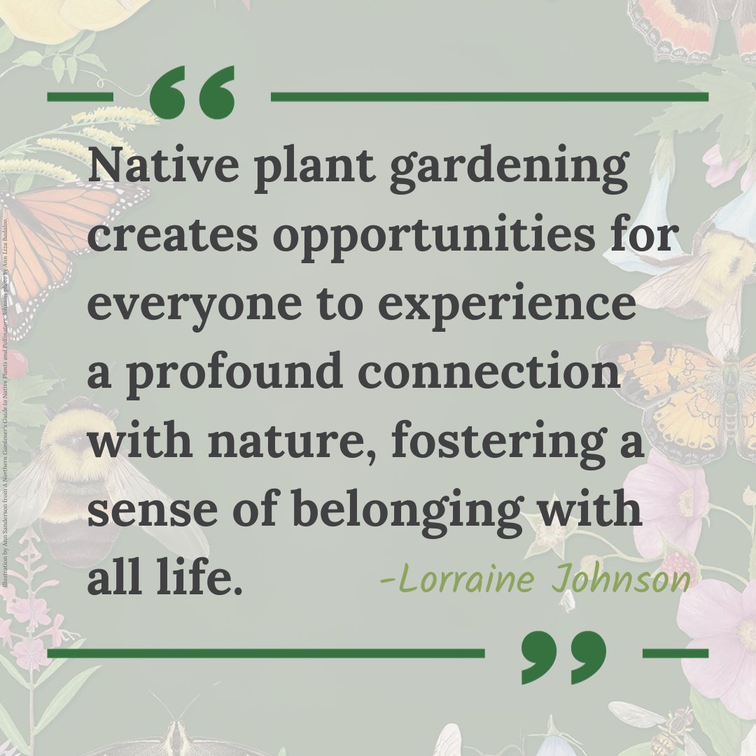 Wild Ones tweet media