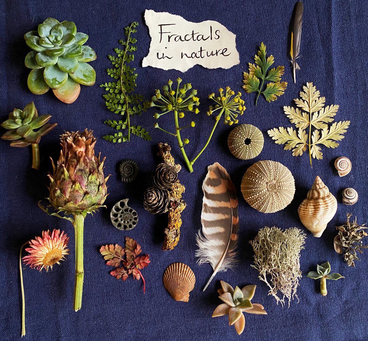 SURE to give you a lift:

On 22 December the sun set at 15.48.

Today the sun set at 16.07.

We've gained 19 mins' more light &amp; we're gaining around a minute extra per day.

Look at the branches of a tree against the remaining light. That's a fractal. Seeing it alleviates stress.