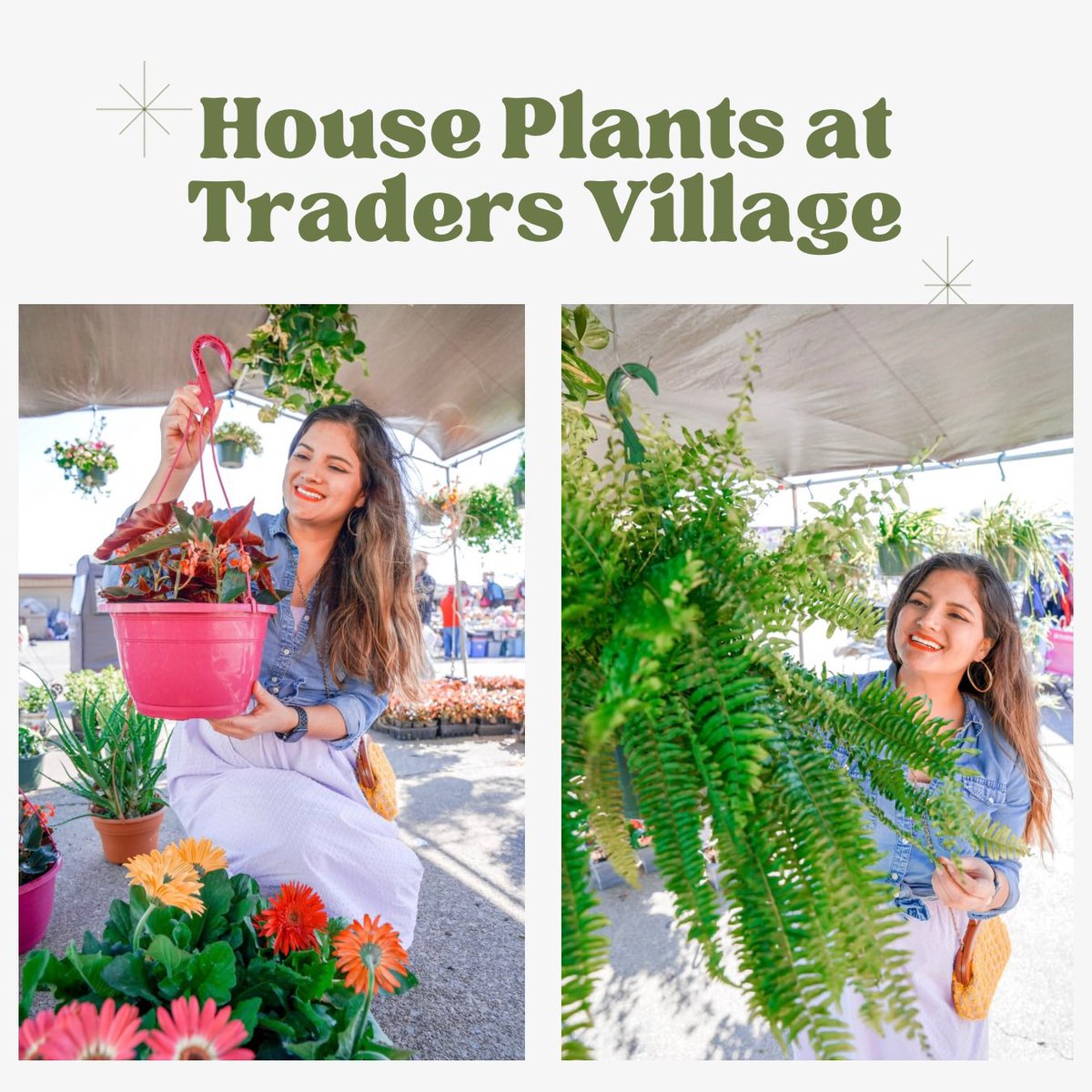 TradersVGP's tweet image. #HouseplantAppreciationDay 🪴

Having houseplants come with several benefits, some of them are even backed by science. swipe ➡️ to read some of them!

And visit @TradersVillage in Grand Prairie, TX to support local vendors and find all kind of beautiful house plants 🪴🪴