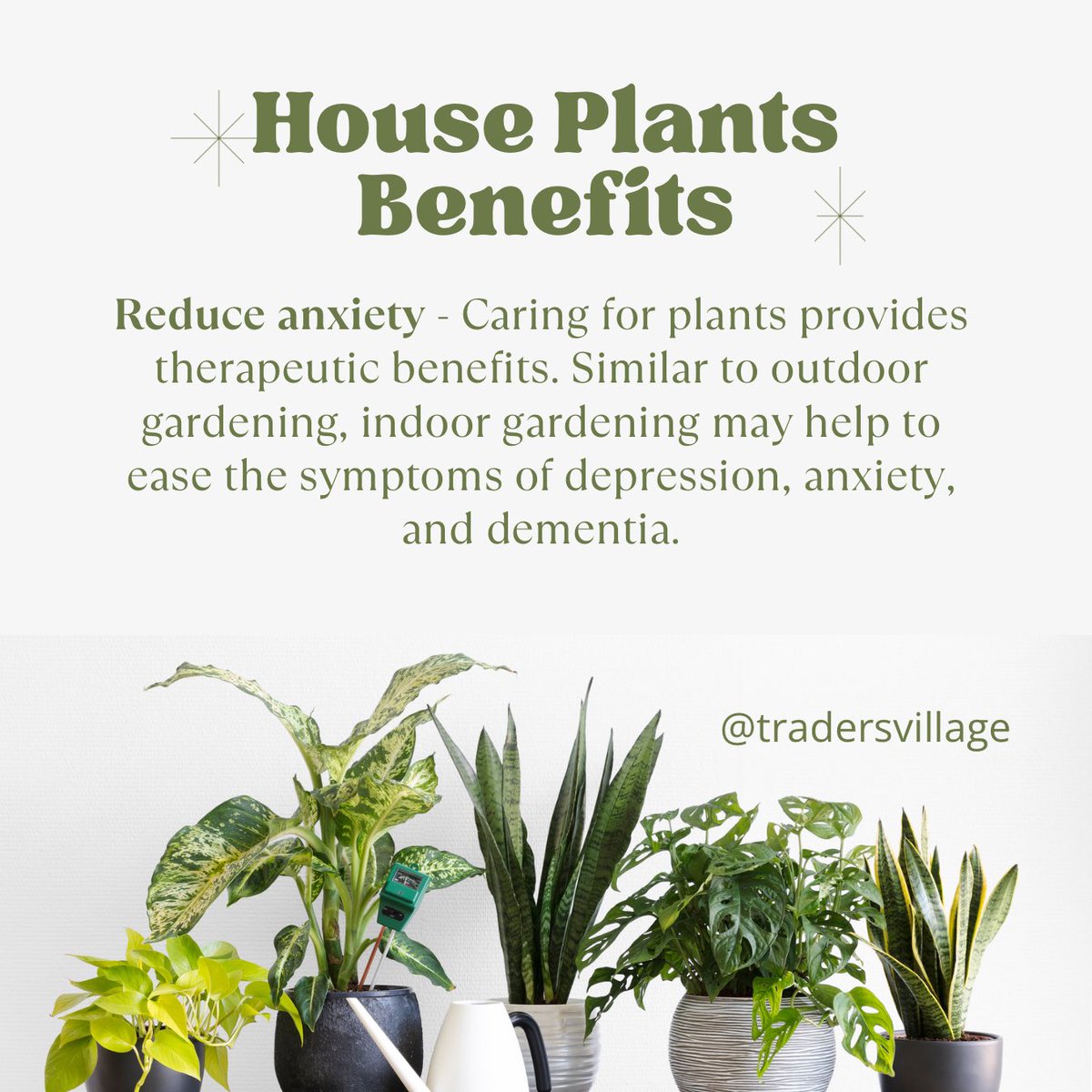 TradersVGP's tweet image. #HouseplantAppreciationDay 🪴

Having houseplants come with several benefits, some of them are even backed by science. swipe ➡️ to read some of them!

And visit @TradersVillage in Grand Prairie, TX to support local vendors and find all kind of beautiful house plants 🪴🪴