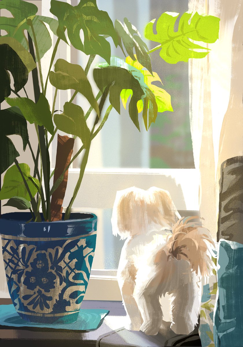 trinketier's tweet photo. Study https://t.co/l5Uz8tJB4r