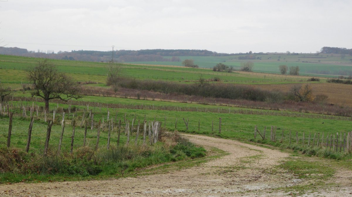 Reprise d’un bien loué via la clause de reprise sexennale
oise-agricole.fr/actualites/rep…