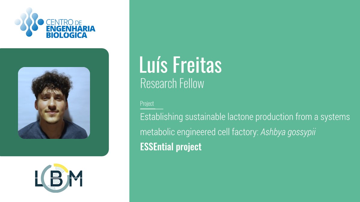 DominguesLab's tweet photo. Time to update our team for 2024! Meet Luís Freitas, who's working on the ESSEntial project, focusing the establishment of sustainable lactone production with the filamentous fungus 𝘈𝘴𝘩𝘣𝘺𝘢 𝘨𝘰𝘴𝘴𝘺𝘱𝘪𝘪.
#lactones #ashbyagossypii https://t.co/SU7XXaMjZK