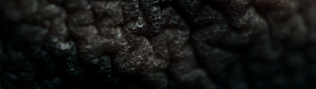 labocine's tweet photo. LIMBIC (by Manfred Borsch) is a Visual Music clip which reflects the emotional processing of music in the limbic system and the resulting reactions of the body (the so-called “chills”) https://t.co/WVBDrYNyZb #resilientskin https://t.co/p0jQjoaC8R