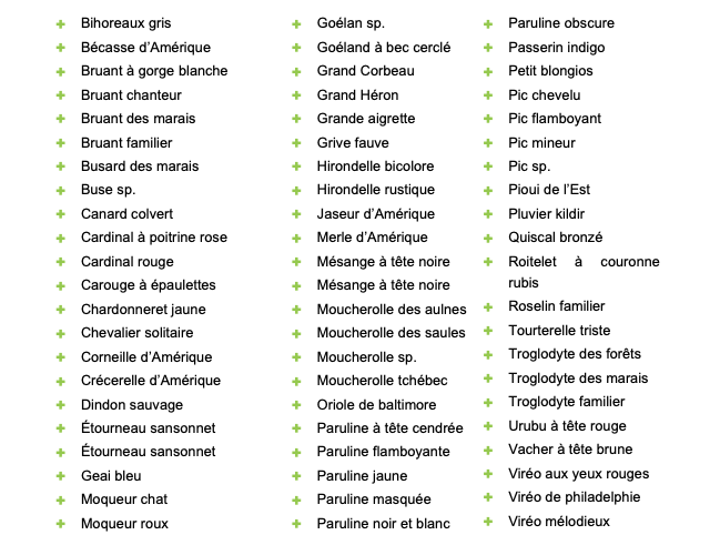 AShields_Devoir's tweet photo. Voici la liste des 65 espèces d'oiseaux observées sur le site de Northvolt en 2023, dans le cadre d'inventaires réalisés pour l'entreprise. 11 espèces sont inscrites sur la liste des espèces en péril. Document obtenu par @LeDevoir. @BiologistesQc @CMM_info @BirdsCanada https://t.co/TrXvZZuPt5