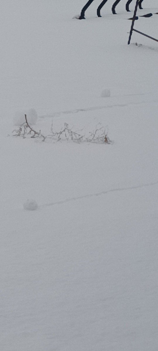 DarringtonBrett's tweet photo. The wind is blowing snowballs in Idaho. https://t.co/QcghURtSTn
