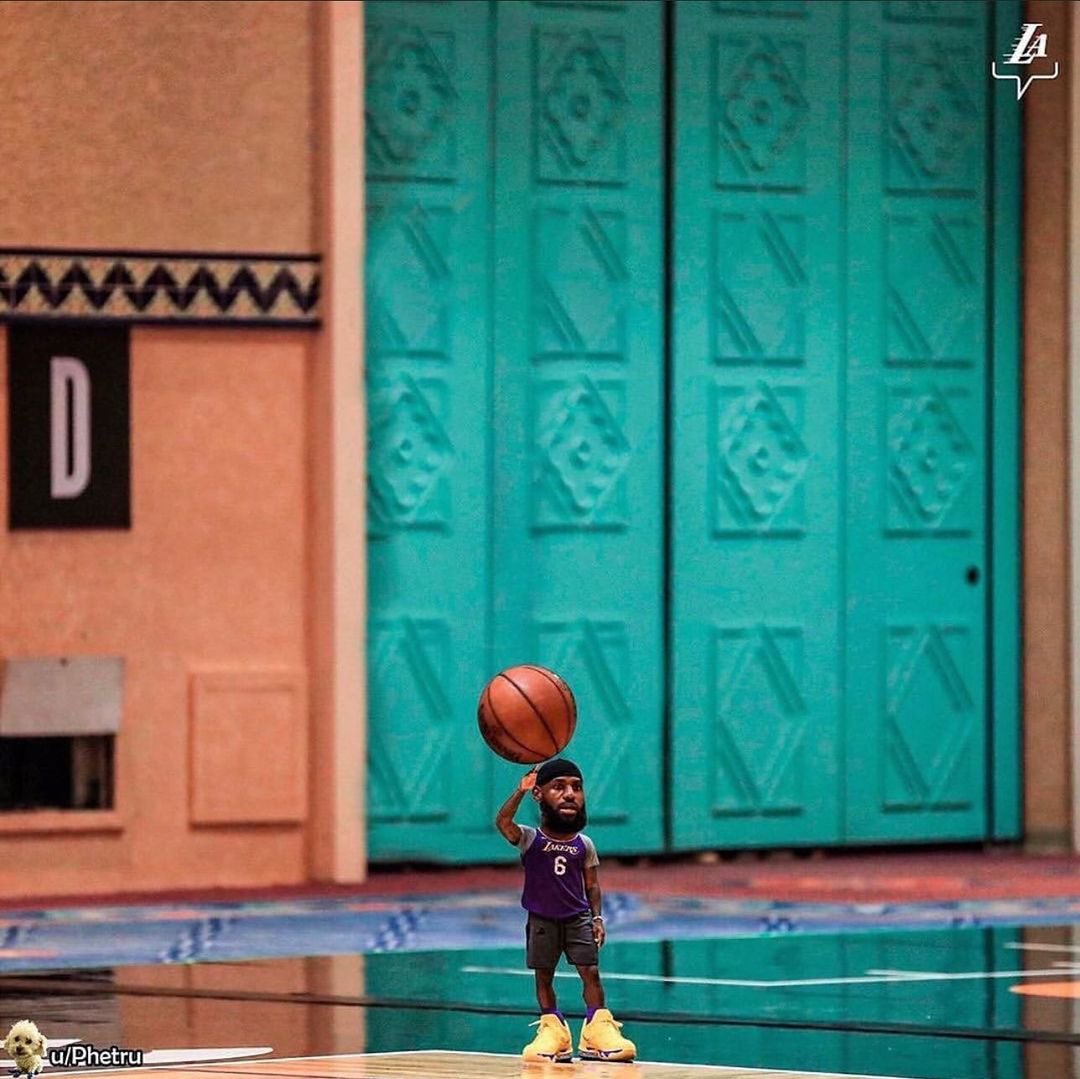 Bronny Tribute tweet media