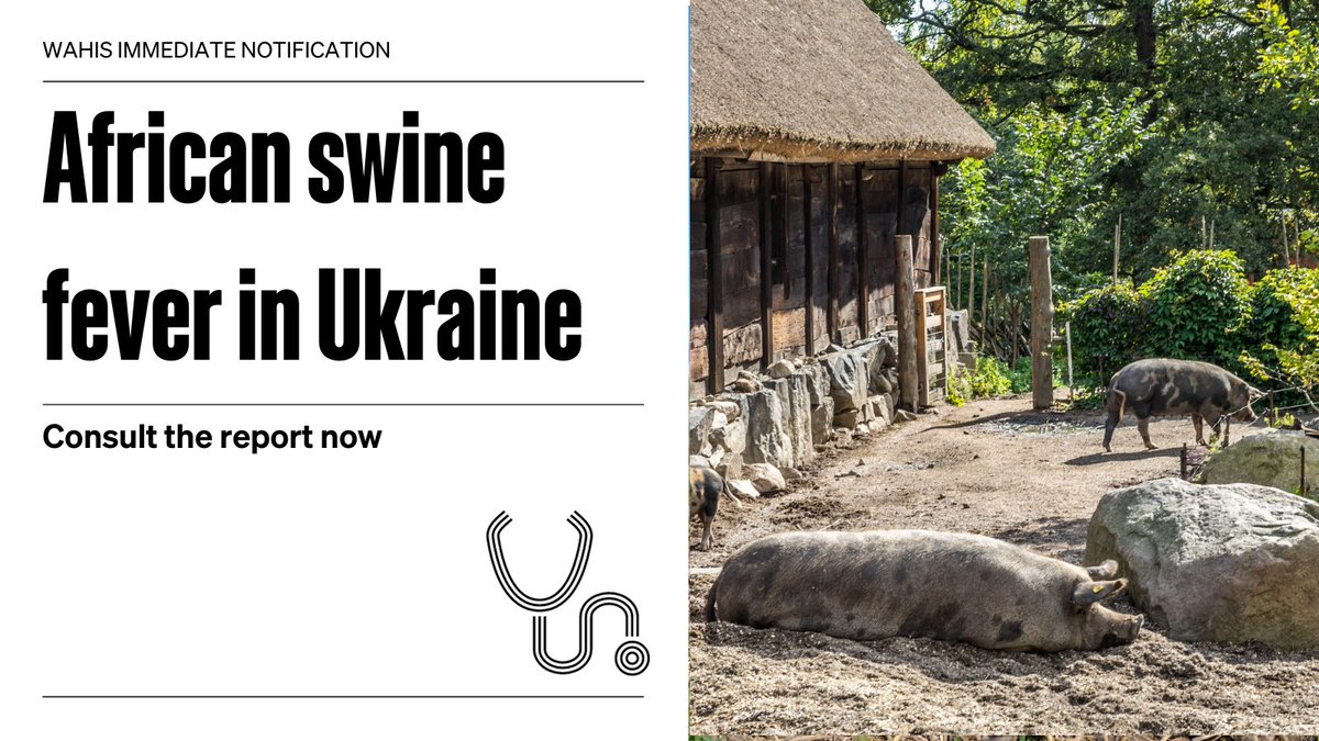 World Organisation for Animal Health tweet media