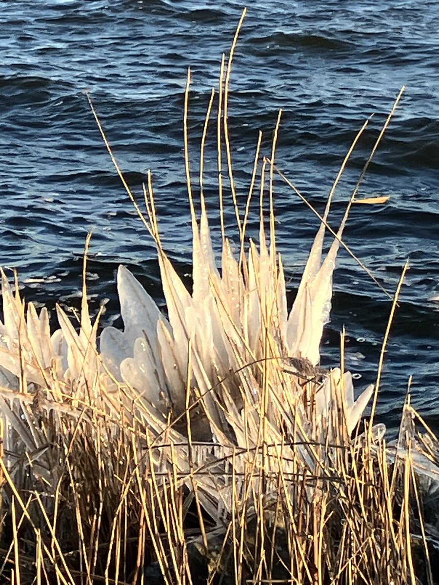 Het Wolderwijd tussen <a href="/GemeenteErmelo/">Gemeente Ermelo</a> <a href="/gemharderwijk/">Gemeente Harderwijk</a> en <a href="/gemzeewolde/">Gemeente Zeewolde</a>. Te mooi om zomaar voorbij te rijden!