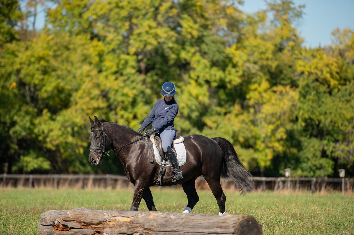 allisonspringer's tweet photo. Powered by Buckeye, groomed by EQyss! 

#poweredbybuckeye #groomedbyeqyss #EQyssgrooming #EQyss #buckeyenutrition #buckeyehorsefeed #horsefeed #eventer #equestrian #areaiieventer #areaii #aseventing #allisonspringer #ad https://t.co/7bx7QPnfZV