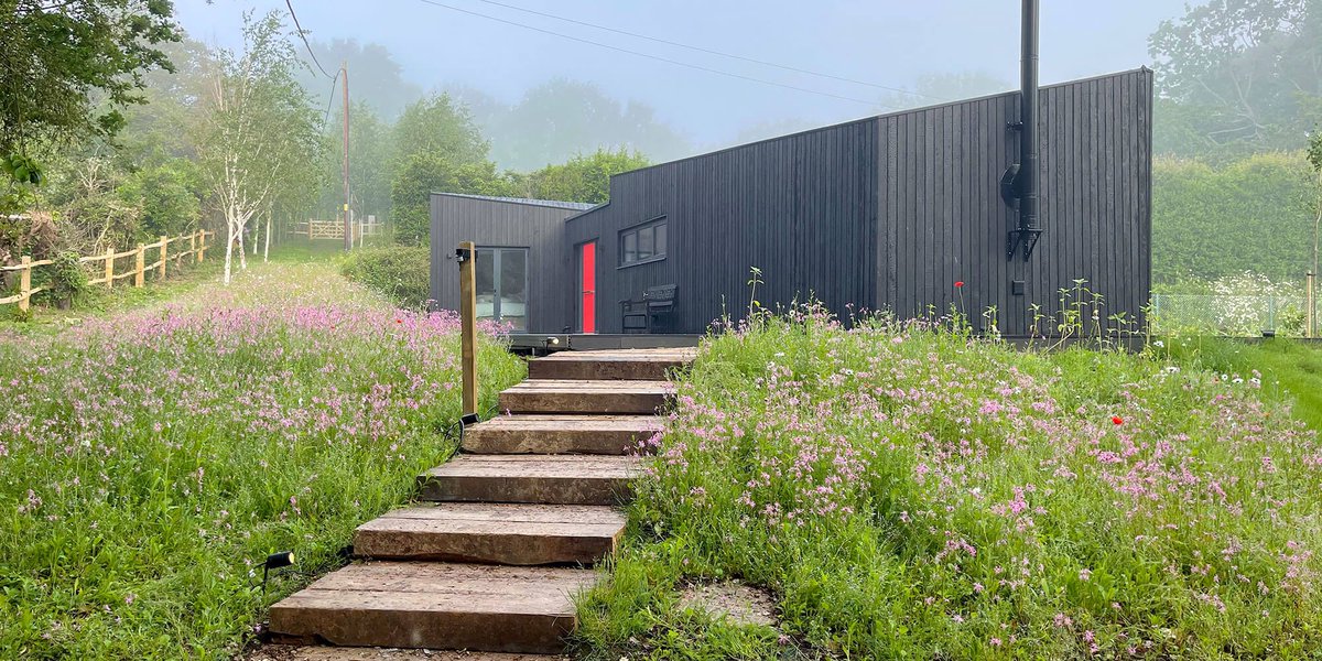 Name: Nathan Hoover
Age: 34+? 👀
Gender: Male
Bisexual 
Species: Stallion/Zebra/K-9 hybrid.
Height: 11’0
Owner/founder: The Black Shack

Artist: <a href="/Fallchick1/">Fallchick</a>
(Thank you once again for my OC darling, he truly came out perfect!❤️)
⬇️-