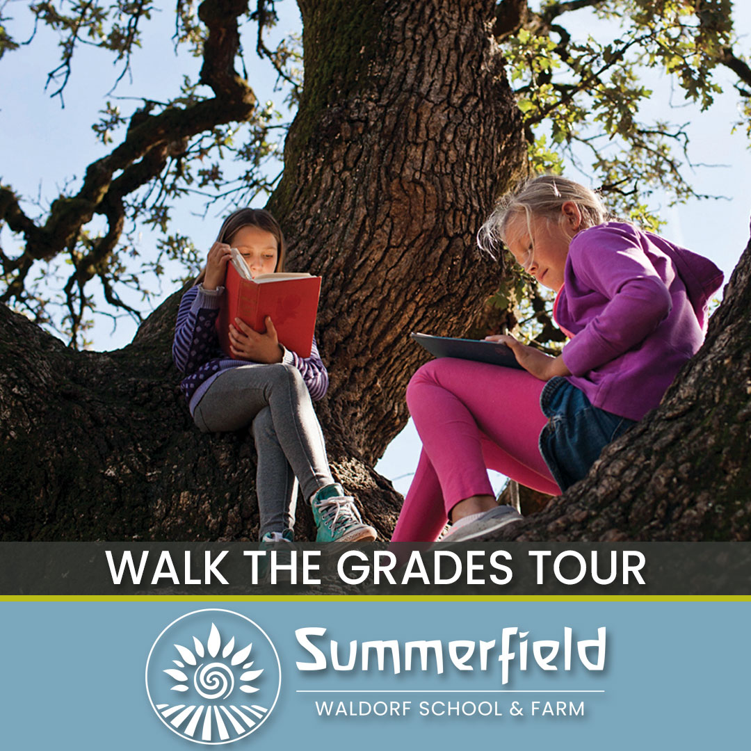 Summerfield Waldorf School & Farm tweet media