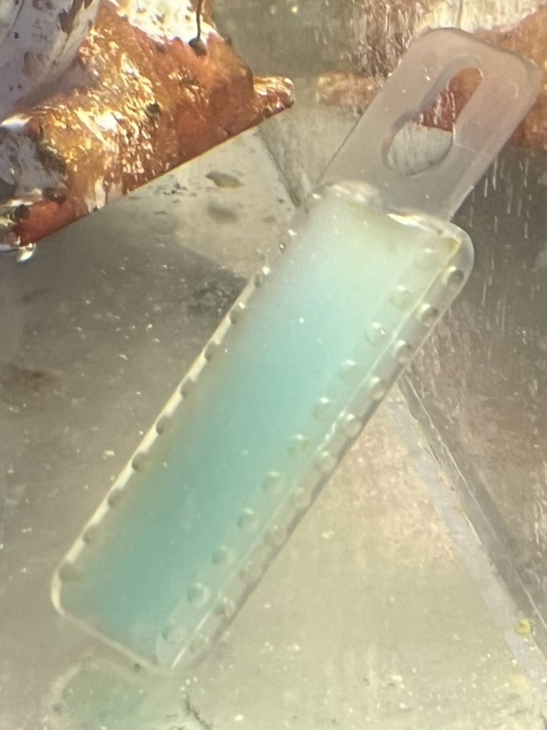 drtimsaquatics's tweet photo. Waste-Away Time release gels change color - to a lighter paler version, like this one-letting you know it’s time to swap it out. 

#wasteawaygel #wasteaway #drtimsaquatics #bacteria #aquariums #fishtanks https://t.co/TJ8T1ZIgrE