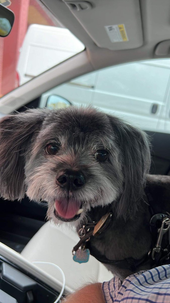 LadyLake PR ๐ (@ladylakemusic) on Twitter photo ๐ฏ๐ Gizmo Says ~
YOU are PAWSOMEโฃ๏ธ๐พ๐
#VibeTribe
<a href="/ThisIsJimmyStar/">Jimmy Star</a> <a href="/davidmartinezmu/">David Martinez Music</a> <a href="/EileenShapiro3/">eileen shapiro</a> <a href="/johndadamo/">John D'Adamo</a> <a href="/RobSaahShow/">Rob Saah</a> <a href="/eztap89/">Elena Tapia</a> <a href="/TwinRadioSynd/">TwinRadioSyndicate</a> <a href="/windowgatribble/">Susan</a> <a href="/WNRM/">WNRM TheRoot</a> <a href="/1943_ron/">Smokie Ron Iverson ๐บ๐ธ</a> <a href="/MattStarrFineA1/">Matt Starr Fine Art</a> <a href="/BeeClaudi59/">Bee ๐ฉ๐ช ๐บ๐ฆ #AdamLambert #Queen</a> <a href="/TheDavidBowers/">The David Bowers</a> @billyc_517 @metaxas_ari <a href="/joeybagovdonuts/">J๐ฉey Bag ๐ฉf D๐ฉnuts ๐ฉ</a> ๐ฏ๐ Gizmo Says ~
YOU are PAWSOMEโฃ๏ธ๐พ๐
#VibeTribe
<a href="/ThisIsJimmyStar/">Jimmy Star</a> <a href="/davidmartinezmu/">David Martinez Music</a> <a href="/EileenShapiro3/">eileen shapiro</a> <a href="/johndadamo/">John D'Adamo</a> <a href="/RobSaahShow/">Rob Saah</a> <a href="/eztap89/">Elena Tapia</a> <a href="/TwinRadioSynd/">TwinRadioSyndicate</a> <a href="/windowgatribble/">Susan</a> <a href="/WNRM/">WNRM TheRoot</a> <a href="/1943_ron/">Smokie Ron Iverson ๐บ๐ธ</a> <a href="/MattStarrFineA1/">Matt Starr Fine Art</a> <a href="/BeeClaudi59/">Bee ๐ฉ๐ช ๐บ๐ฆ #AdamLambert #Queen</a> <a href="/TheDavidBowers/">The David Bowers</a> @billyc_517 @metaxas_ari <a href="/joeybagovdonuts/">J๐ฉey Bag ๐ฉf D๐ฉnuts ๐ฉ</a>