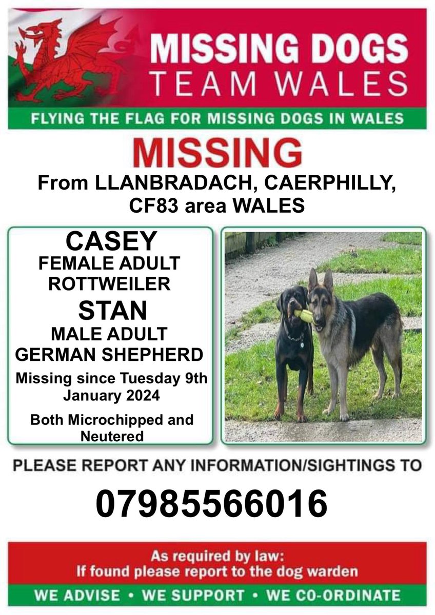 ‼️SIGHTINGS NEEDED 
IF SEEN PLEASE CALL THE NUMBER ON THIS POSTER ASAP 

‼️BOTH CASEY #ROTTWEILER & STAN #GERMANSHEPHERD MISSING FROM #LLANBRADACH AREA #CAERPHILLY #CF83 #WALES