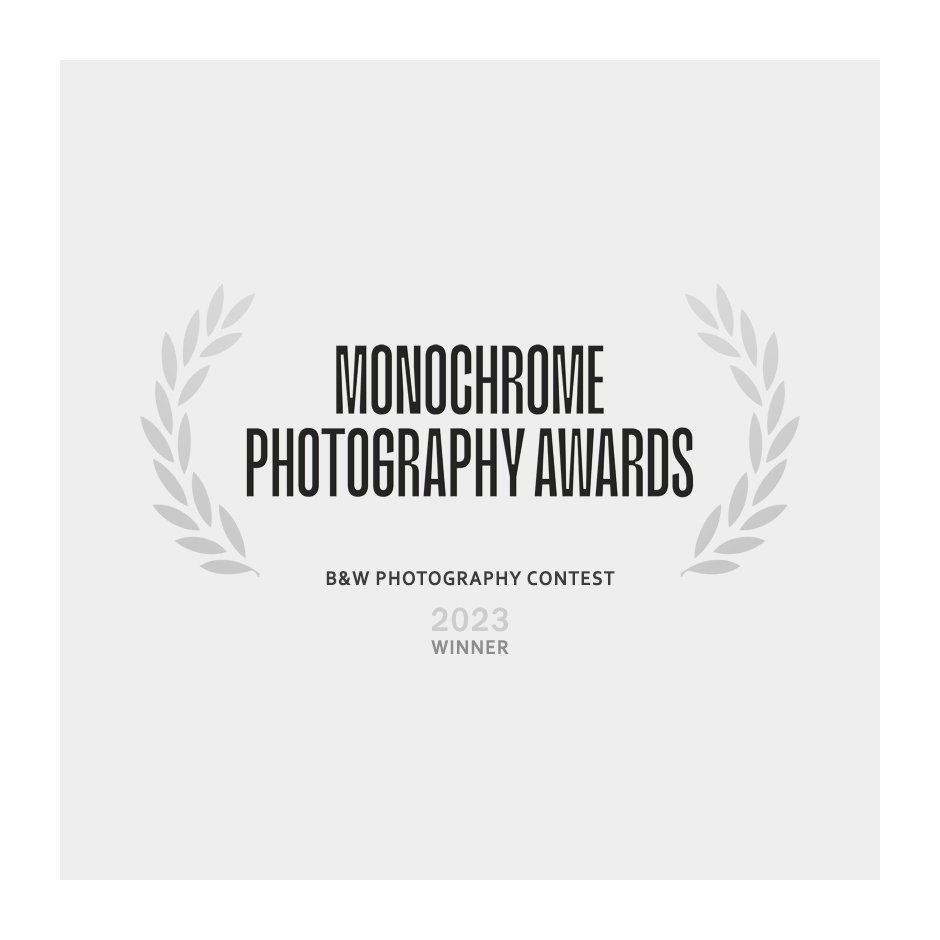 It's been an incredible start to the year. Another silver medal for the image 'Proud' in category 'Wildlife'. I am very grateful to the jury of the MONOCHROME PHOTOGRAPHY AWARDS 2023. 🙏 #monochromeawards #patrickemsphotography #fineartphotography #noaiart