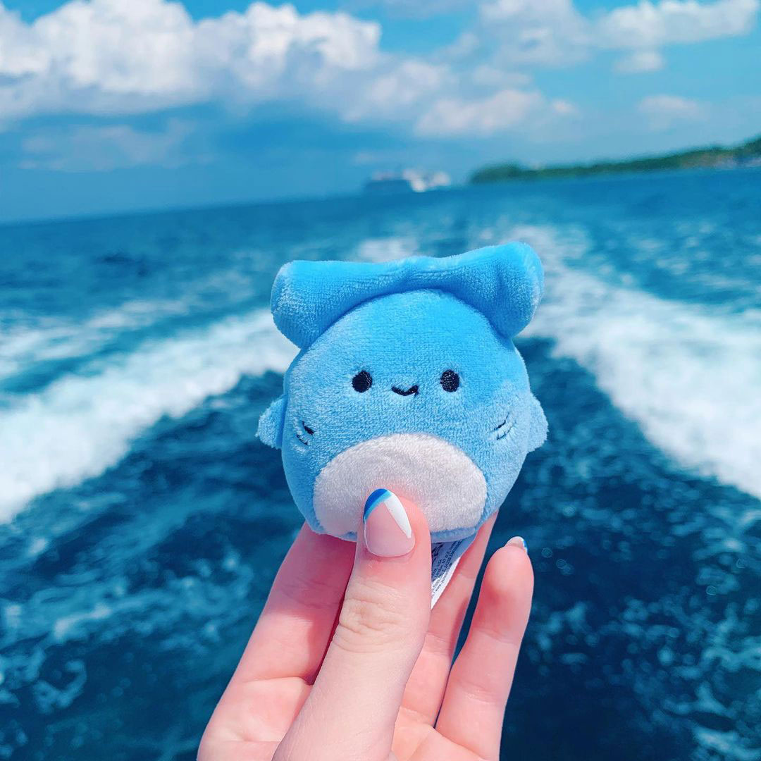 Squishville by Original Squishmallows tweet media