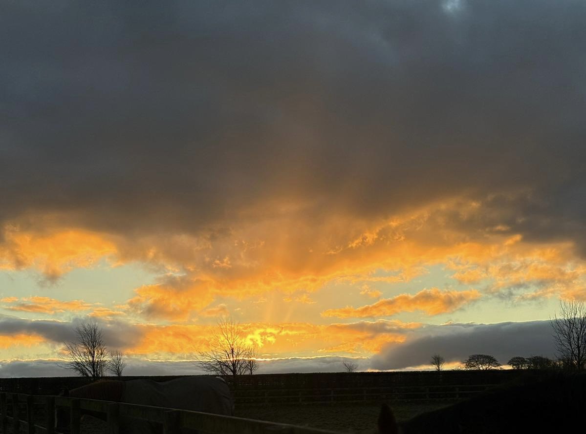 Winter mornings @NewtownStud as captured by vet student @beepbop235 Aoife Treacy