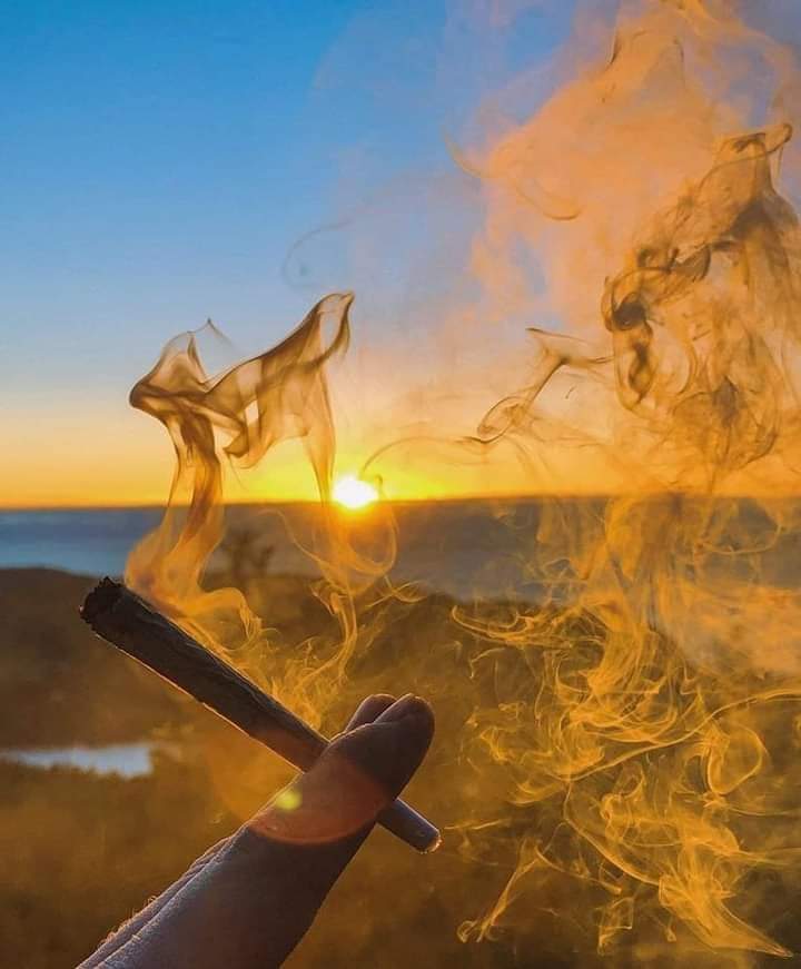 LaReinaDeHumo's tweet photo. Por un año lleno de mariguanxs ✨
¿ O como se les dice a las personas que les gusta ir a ver el mar? https://t.co/pEdocrHaAZ