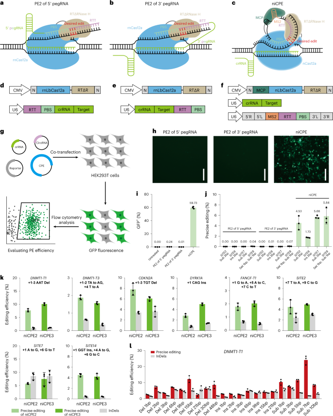 Nature Biotechnology tweet media