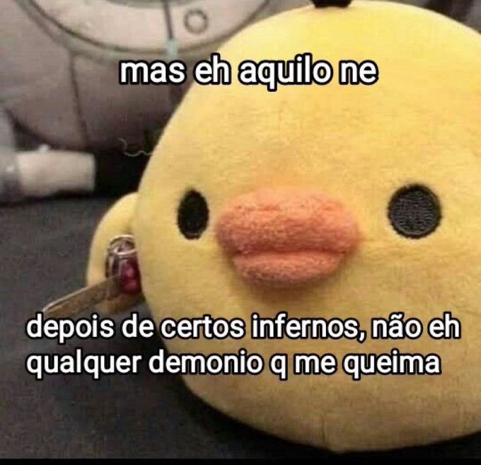 Bruna tweet media