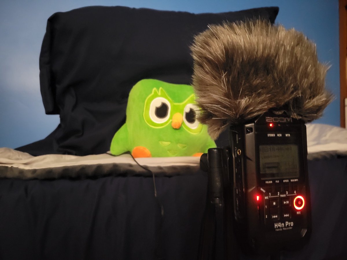 RecentlyLogged's tweet photo. https://t.co/xexeVbKygM
