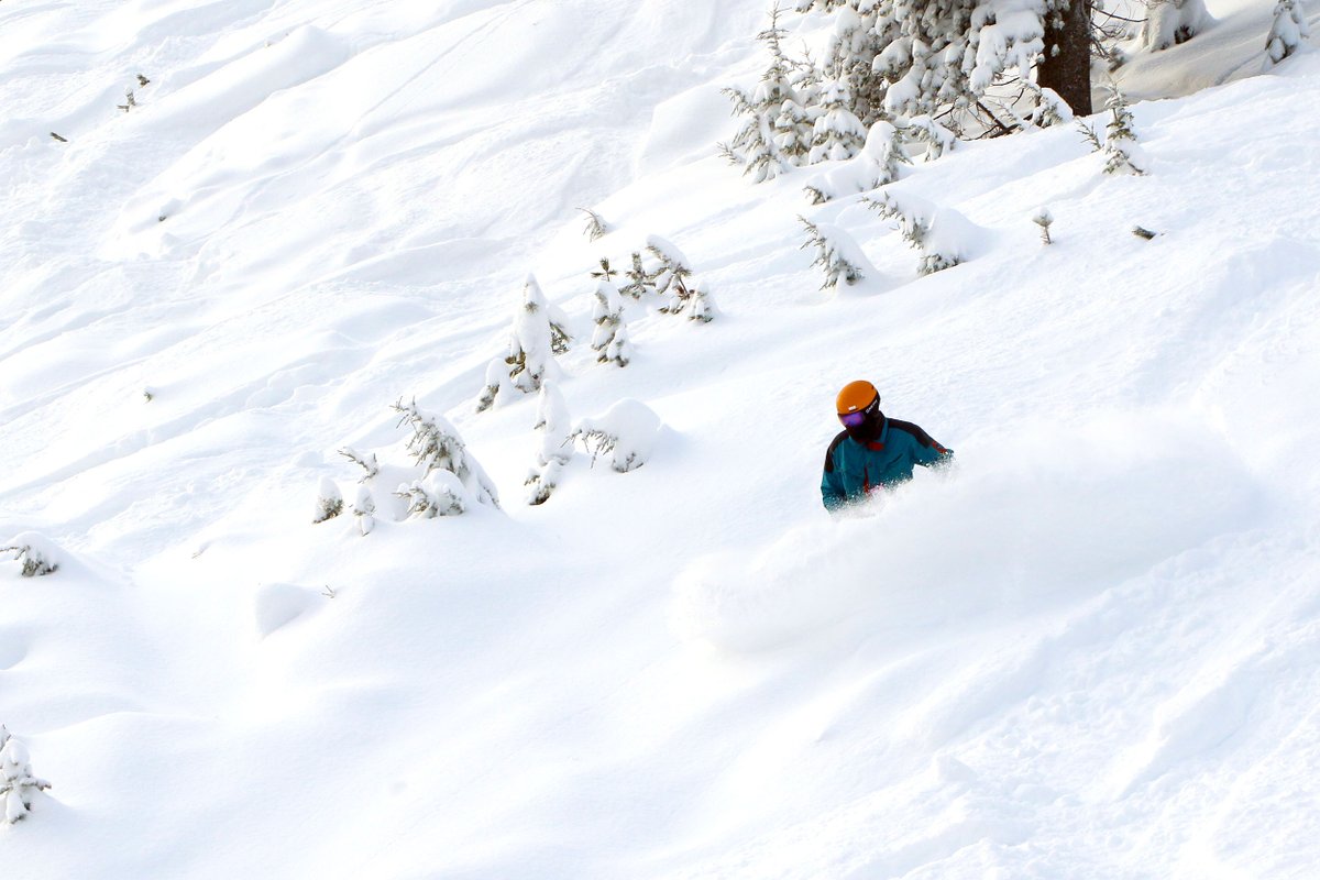skilookout's tweet photo. What are you planning this weekend? We are going to be out on the mountain enjoying all this fresh snow!
#1powderplace #visitidaho #SkiNWRockies #VisitNorthIdaho #MontanaMoment https://t.co/1eaWQ4Yz8c