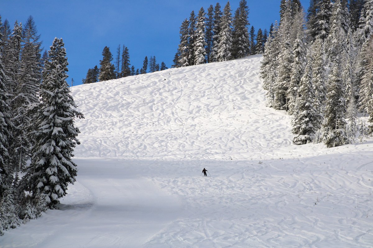 skilookout's tweet photo. What are you planning this weekend? We are going to be out on the mountain enjoying all this fresh snow!
#1powderplace #visitidaho #SkiNWRockies #VisitNorthIdaho #MontanaMoment https://t.co/1eaWQ4Yz8c