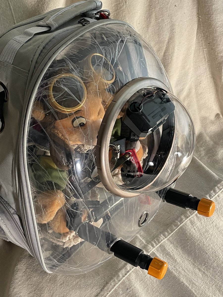 Foxer421 tweet media