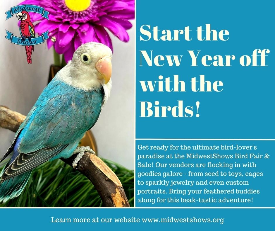 MWSHOWS's tweet photo. Veiw the vendor list at https://t.co/Qel6KR0Hs1
Hope to see you there! https://t.co/2Dlli0Q6Wy