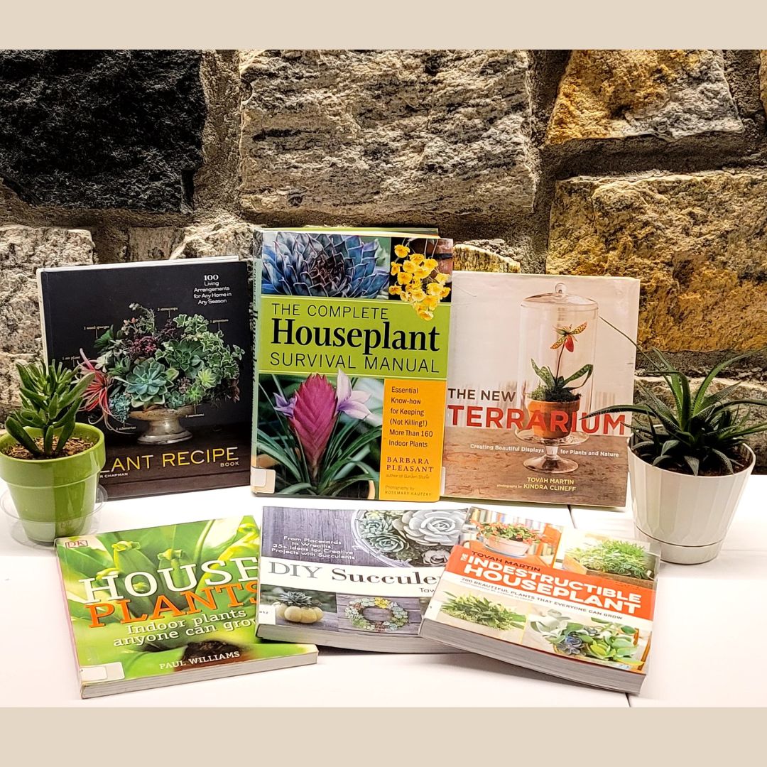 Today is Houseplant Appreciation Day! 
These winter months are a great time to bring life into your home and focus on indoor plants!