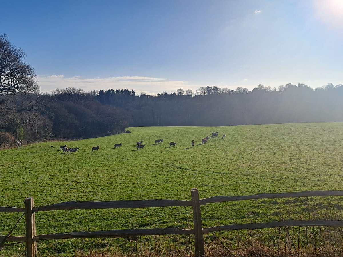 Sussex countryside, new listing incoming.....